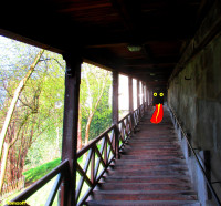 /album/fotogalerie/bildstoff-501-jpg1/